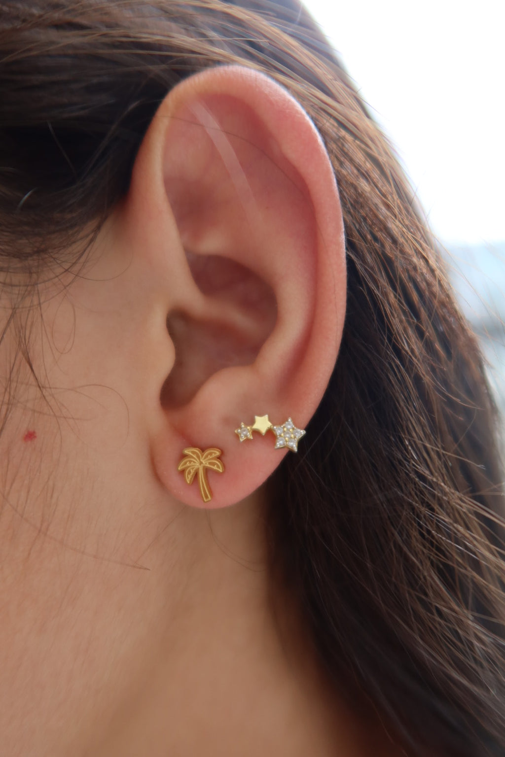 The Palm Tree Earrings