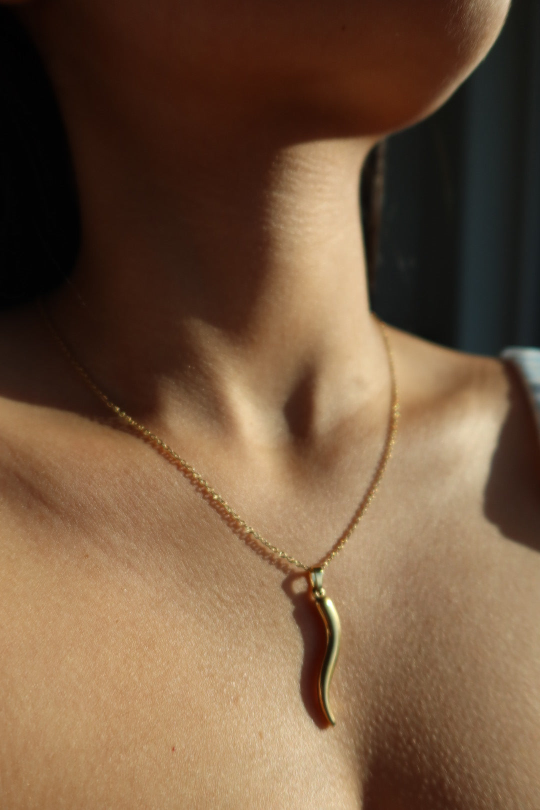 Horn Necklace