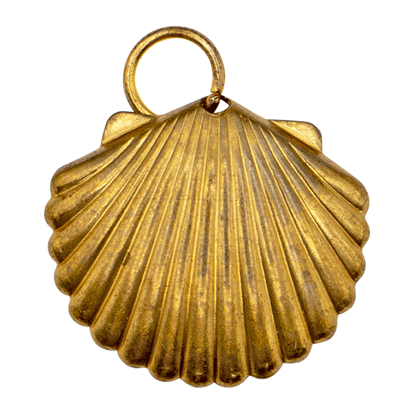 Antique Shell Vintage Charm
