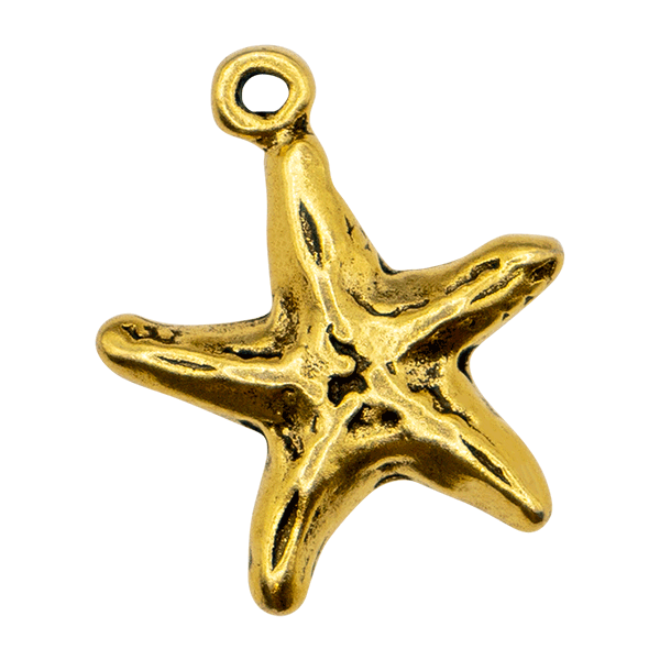 Star Fish Textured Vintage Charm
