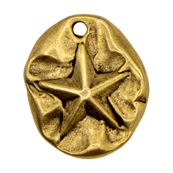 Star Fish Vintage Charm
