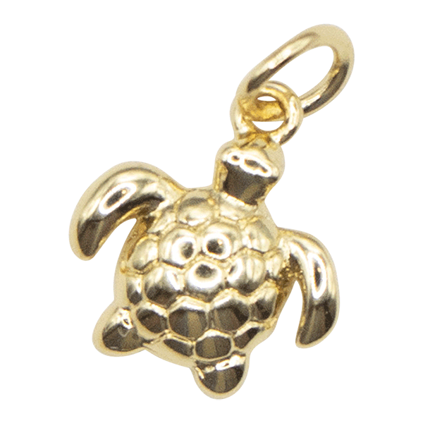 Turtle Charm